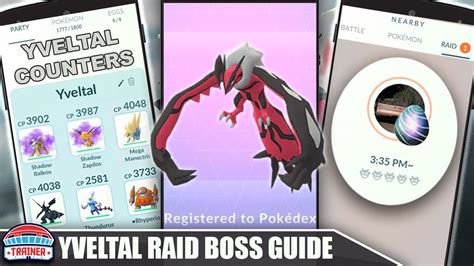 yveltal stats|yveltal weakness.